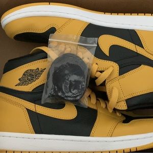 Jordan 1 Pollen